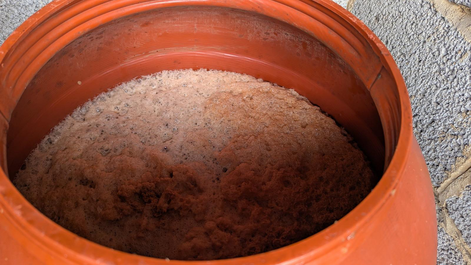 Apple pressing day photo 11