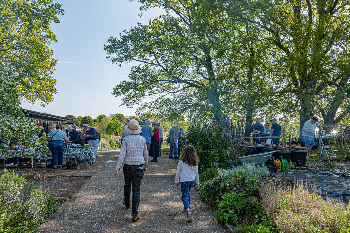 Centennial celebration photo 9