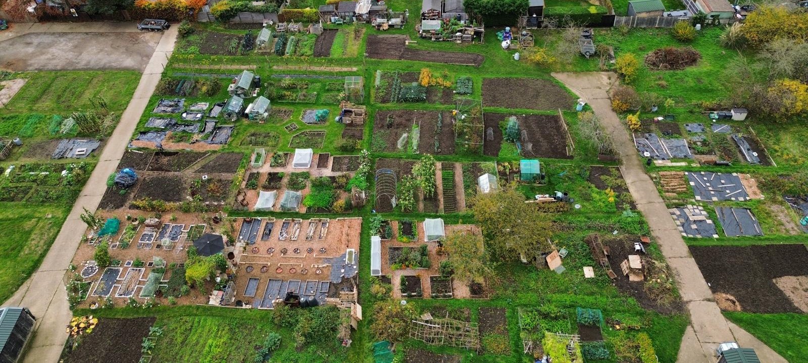 Aerial view of Quaker's Hall allotments