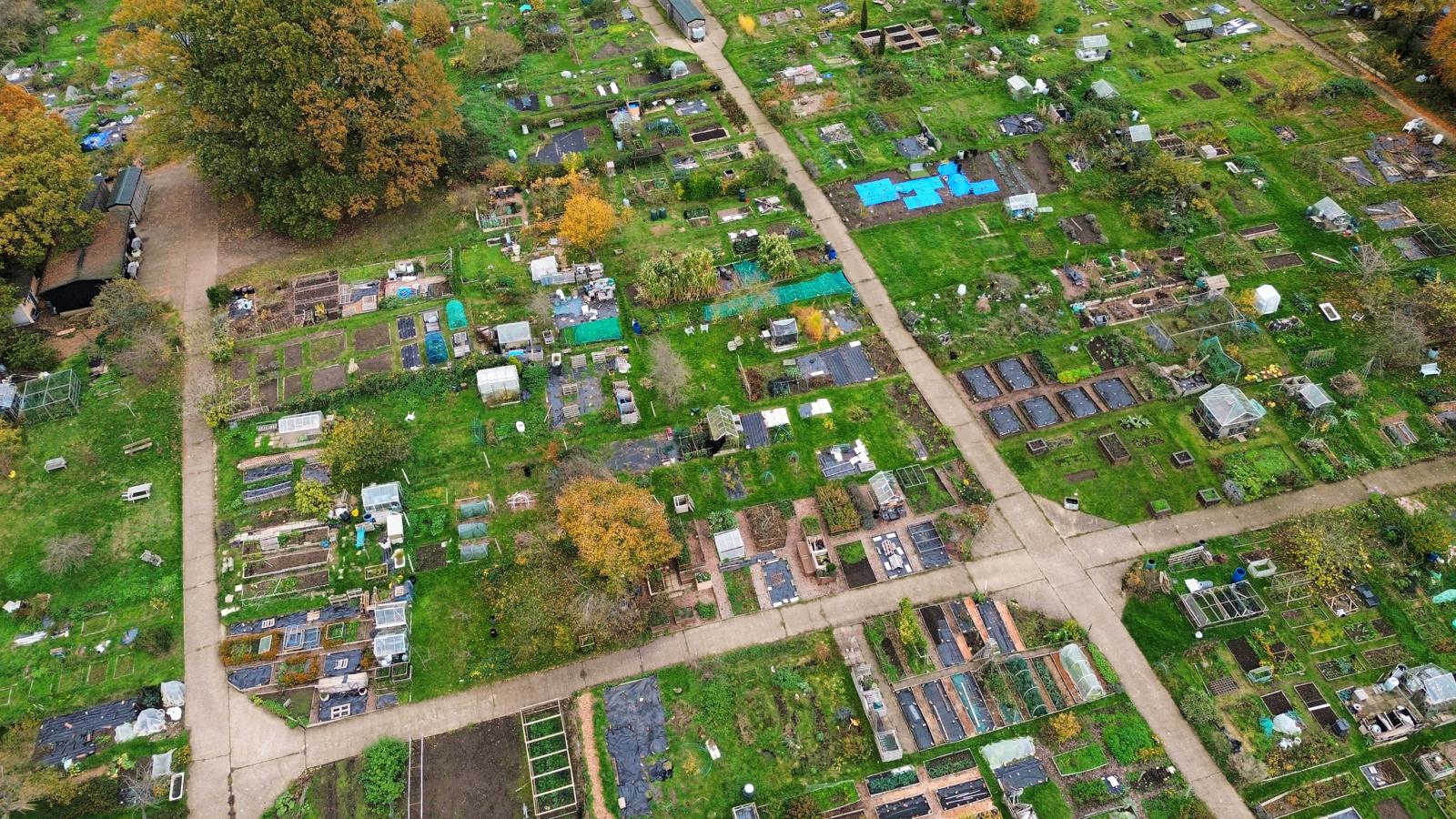 Aerial view of Quaker's Hall allotments