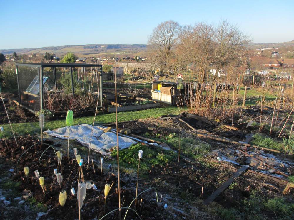 Allotment plots at Quaker’s Hall in spring
